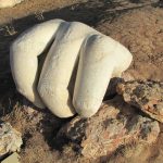 Hand of stone