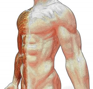 Physical Therapy Exam Question